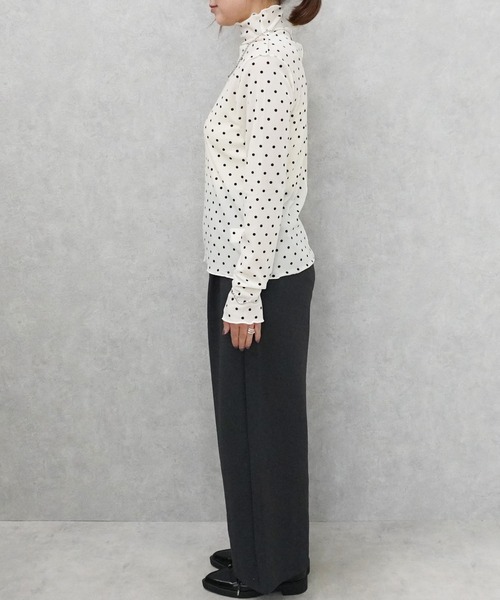 SELECT LEVERY(セレクトリベリー)の「ハイネックシアーフロッキードットプルオーバー(Tシャツ/カットソー・レディース・ブラウン/ライトベージュ/オフホワイト・MEDIUM)」の21枚目の写真