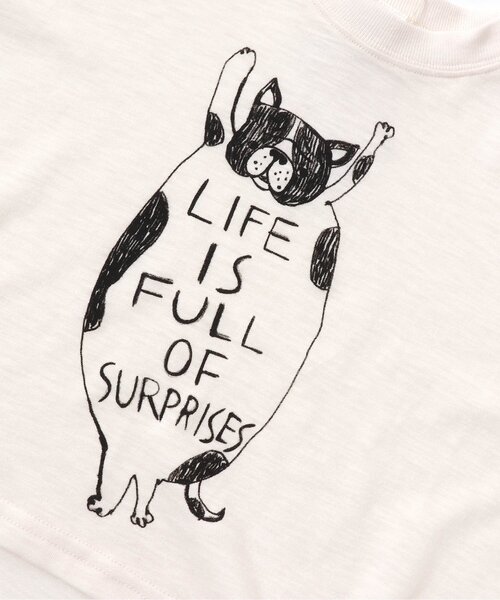 BREEZE（ブリーズ）の「/BIGドロップブルドックTシャツ（Tシャツ/カットソー・キッズ・ブラック/オフホワイト・110/120/100/90/140/80/130）」の5枚目の写真