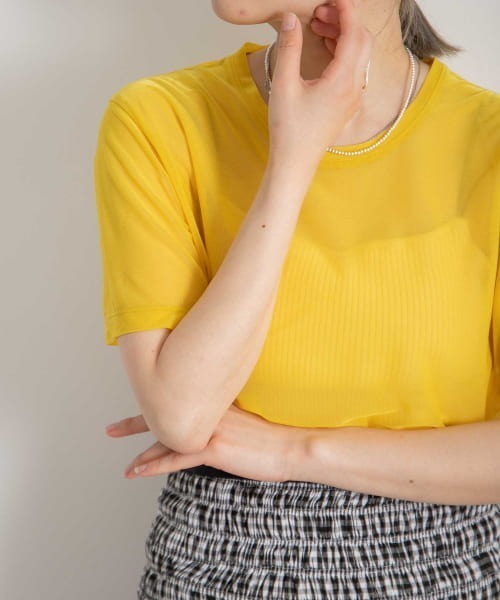 WANDERUNG（ワンデルング）の「【URBS別注】WANDERUNG　sheer SHORT-SLEEVE T-SHIRTS（Tシャツ/カットソー・レディース・ピンク/イエロー/アイボリー/ミント/ブラック・ONE）」の18枚目の写真
