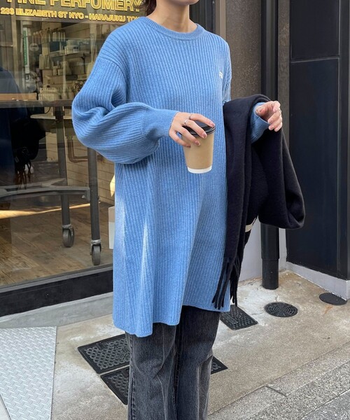 fredy emue(フレディエミュ)の「FR刺繍チュニックワンピース(ワンピース・レディース・チャコールグレー/アイボリー/サックスブルー・38)」の16枚目の写真