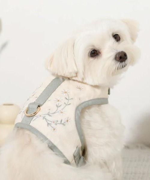 セール】冷感マーガレット柄ハーネス+リードSET【保冷剤付き・接触冷感
