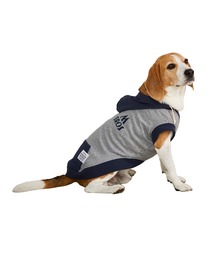 MANDARINE BROTHERS（マンダリンブラザーズ）の「バイカラーフーディー/小型犬（ペットウェア）」