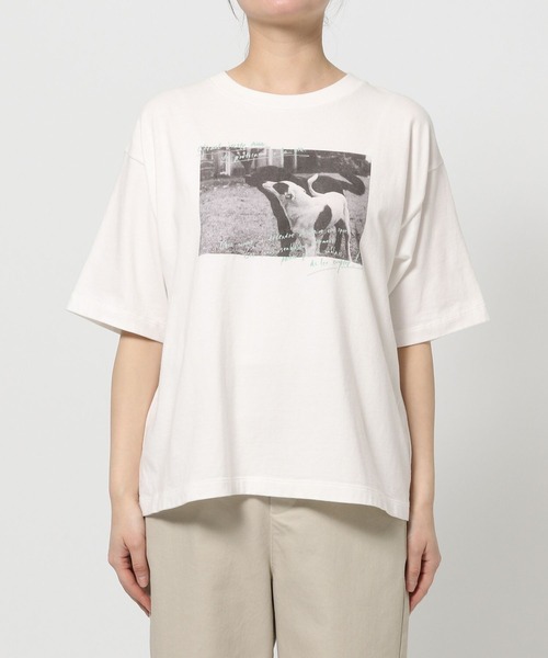 studio CLIP（スタディオクリップ）の「【CLIP BY STAFF】柄アソートフェスTシャツ（Tシャツ/カットソー・レディース・その他3/その他1/その他2/その他4/その他5・FREE）」の21枚目の写真