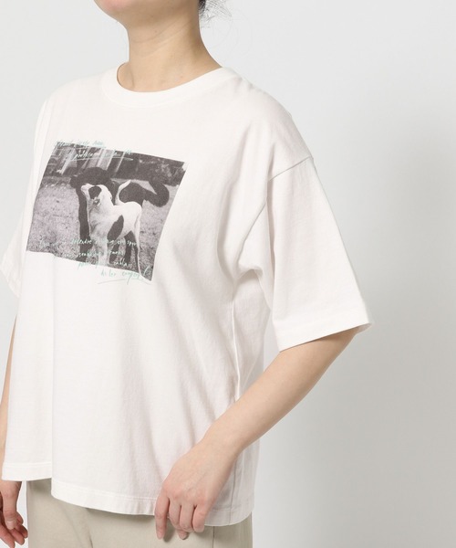 studio CLIP（スタディオクリップ）の「【CLIP BY STAFF】柄アソートフェスTシャツ（Tシャツ/カットソー・レディース・その他3/その他1/その他2/その他4/その他5・FREE）」の17枚目の写真