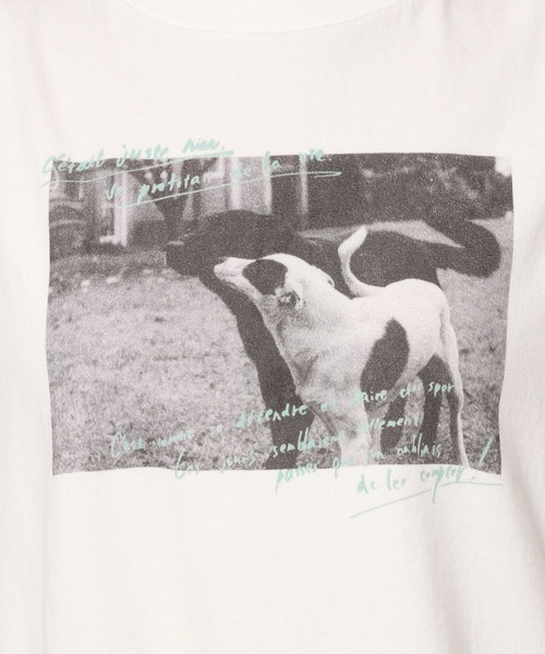 studio CLIP（スタディオクリップ）の「【CLIP BY STAFF】柄アソートフェスTシャツ（Tシャツ/カットソー・レディース・その他3/その他1/その他2/その他4/その他5・FREE）」の13枚目の写真