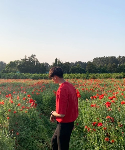 NOWLE(ノウル)の「【NOWLE】ウェーブロゴ クルーネック 半袖 Tシャツ(Tシャツ/カットソー・メンズ・ブラック/レッド・MEDIUM/LARGE/X-LARGE)」の12枚目の写真