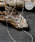 THEFT�i�Z�t�g�j�́uTHEFT �Z�t�g / ANCHOR CHAIN SILVER NECKLACE �V���o�[925�A���J�[�`�F�[���l�b�N���X 60cm�i�l�b�N���X�j�v�b�V���o�[