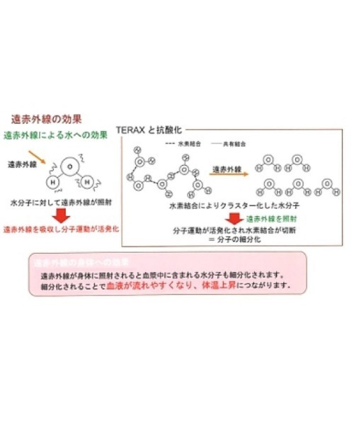 Day and Grade（デイアンドグレイド）の「保温サーマルウェアプルオーバー：TERAX HOT 長袖ベースレイヤー　インナー　アンダーウェア　ロンT（Tシャツ/カットソー・レディース・グレー/ブラック・MEDIUM/LARGE）」の16枚目の写真