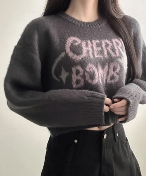 VIVID LADY(ビビッドレディー)の「バイカラーロゴ ショートニットトップス(ニット/セーター・レディース・ブラウン/ネイビー/チャコールグレー/アイボリー・FREE)」の6枚目の写真