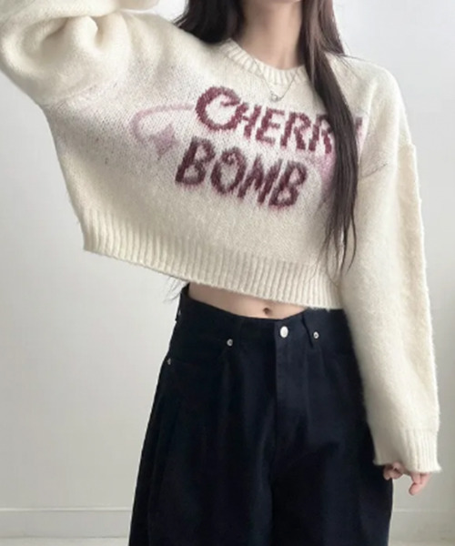 VIVID LADY(ビビッドレディー)の「バイカラーロゴ ショートニットトップス(ニット/セーター・レディース・ブラウン/ネイビー/チャコールグレー/アイボリー・FREE)」の9枚目の写真