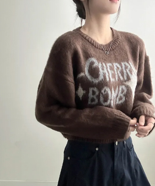 VIVID LADY(ビビッドレディー)の「バイカラーロゴ ショートニットトップス(ニット/セーター・レディース・ブラウン/ネイビー/チャコールグレー/アイボリー・FREE)」の18枚目の写真
