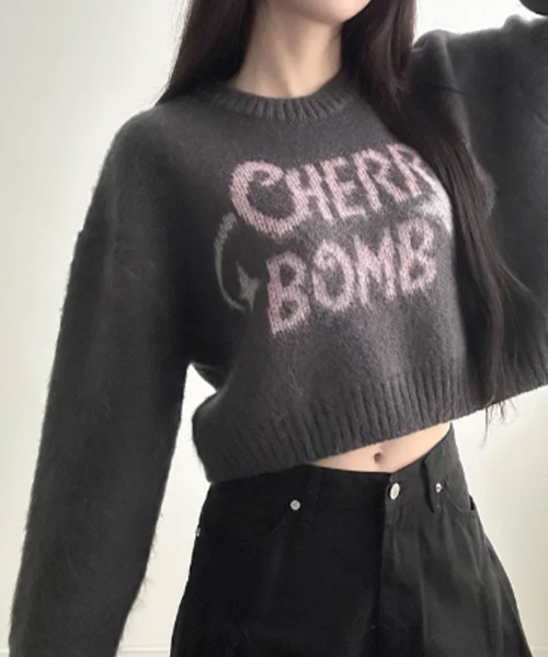 VIVID LADY(ビビッドレディー)の「バイカラーロゴ ショートニットトップス(ニット/セーター・レディース・ブラウン/ネイビー/チャコールグレー/アイボリー・FREE)」の7枚目の写真