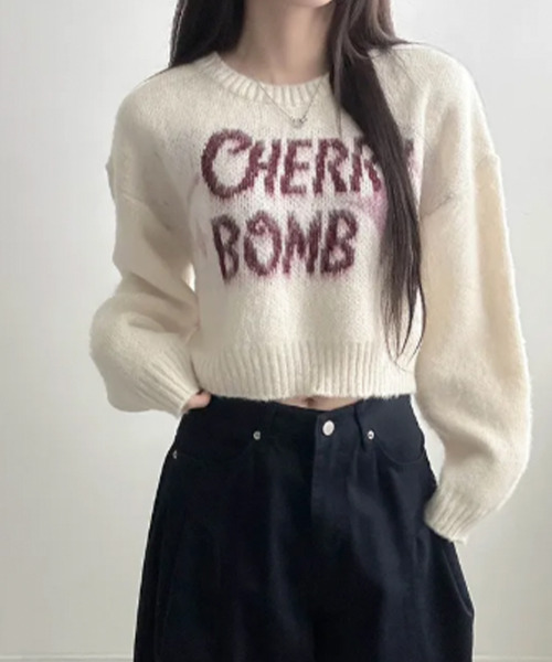 VIVID LADY(ビビッドレディー)の「バイカラーロゴ ショートニットトップス(ニット/セーター・レディース・ブラウン/ネイビー/チャコールグレー/アイボリー・FREE)」の11枚目の写真