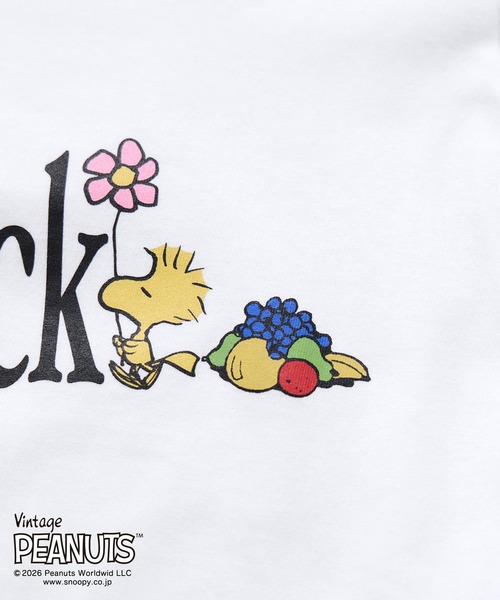le cercle ADAM ET ROPE'(ルセルクルアダムエロペ)の「PEANUTS × FRUITOFTHEROOM Tシャツ(Tシャツ/カットソー・レディース・ブラック/ホワイト・FREE)」の13枚目の写真