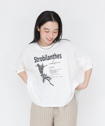 meeny miny | 【京都府立植物園】ユキミバナTシャツ(Tシャツ/カットソー)