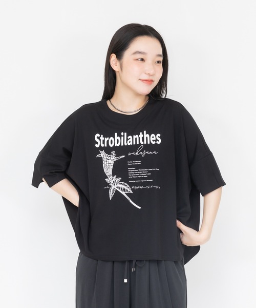 meeny miny(ミーニーマイニー)の「【京都府立植物園】ユキミバナTシャツ(Tシャツ/カットソー・レディース・ブラック/ホワイト・MEDIUM)」の2枚目の写真