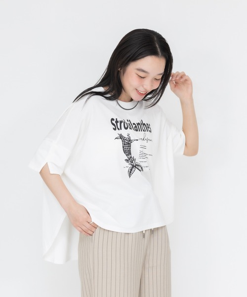 meeny miny(ミーニーマイニー)の「【京都府立植物園】ユキミバナTシャツ(Tシャツ/カットソー・レディース・ブラック/ホワイト・MEDIUM)」の8枚目の写真