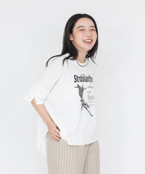 meeny miny(ミーニーマイニー)の「【京都府立植物園】ユキミバナTシャツ(Tシャツ/カットソー・レディース・ブラック/ホワイト・MEDIUM)」の9枚目の写真