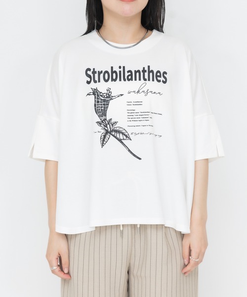 meeny miny(ミーニーマイニー)の「【京都府立植物園】ユキミバナTシャツ(Tシャツ/カットソー・レディース・ブラック/ホワイト・MEDIUM)」の13枚目の写真