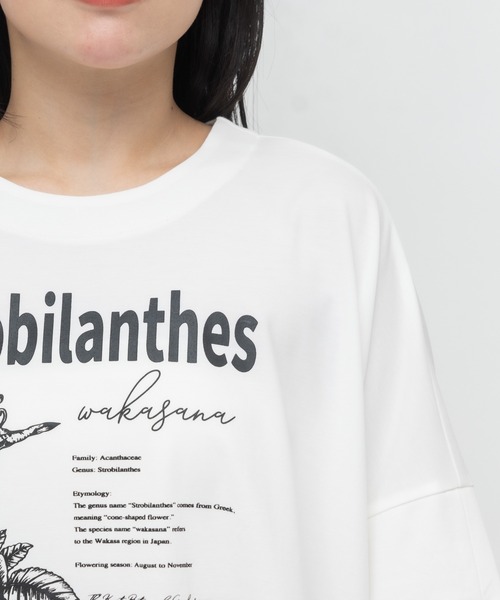 meeny miny(ミーニーマイニー)の「【京都府立植物園】ユキミバナTシャツ(Tシャツ/カットソー・レディース・ブラック/ホワイト・MEDIUM)」の16枚目の写真