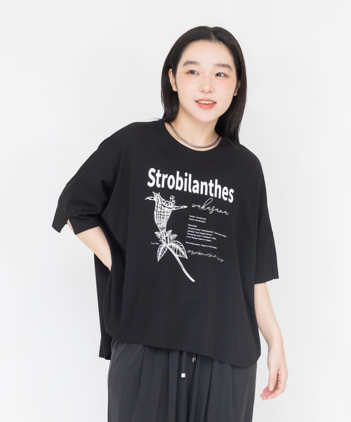 meeny miny(ミーニーマイニー)の「【京都府立植物園】ユキミバナTシャツ(Tシャツ/カットソー・レディース・ブラック/ホワイト・MEDIUM)」の22枚目の写真