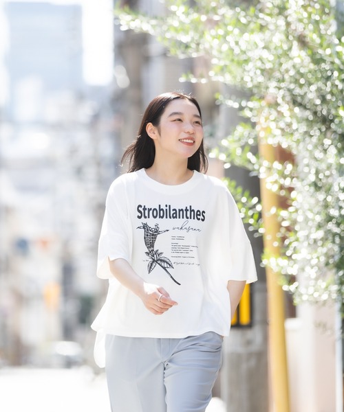 meeny miny(ミーニーマイニー)の「【京都府立植物園】ユキミバナTシャツ(Tシャツ/カットソー・レディース・ブラック/ホワイト・MEDIUM)」の6枚目の写真
