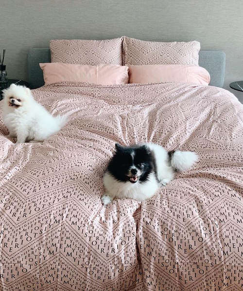 eimy istoire コットンベットカバーダブル ピンク eimy istoire コットンベットカバーダブル ピンク