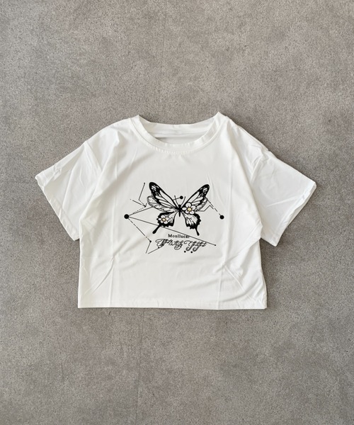 SHEPP(シープ)の「【26年春夏新作】バタフライプリントクロップド半袖T(Tシャツ/カットソー・レディース・ブラック/ホワイト/ブルー・L/M)」の14枚目の写真