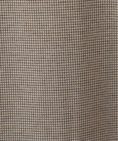 frames RAY CASSIN（フレームスレイカズン）の「ボリュームスリーブ切替ワンピース（ワンピース・レディース・ブラック/キナリ/ベージュ系・FREE）」の22枚目の写真