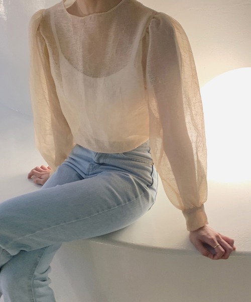 Leja(レジャ)の「【LEJA】シアー透けオーバーサイズブラウス(Tシャツ/カットソー・レディース・ブラック/ベージュ・FREE)」の17枚目の写真