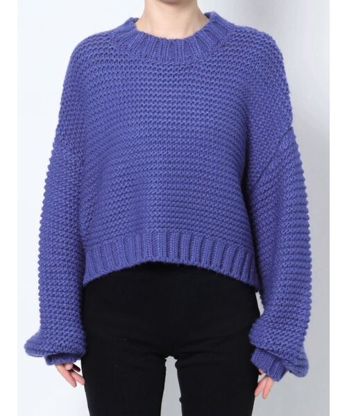 EVRIS（エヴリス）の「ショートガーターニットトップス（ニット/セーター・レディース・アイボリー/ブラック/ブルー・FREE）」の14枚目の写真