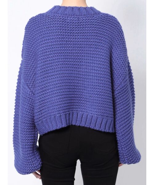 EVRIS（エヴリス）の「ショートガーターニットトップス（ニット/セーター・レディース・アイボリー/ブラック/ブルー・FREE）」の22枚目の写真