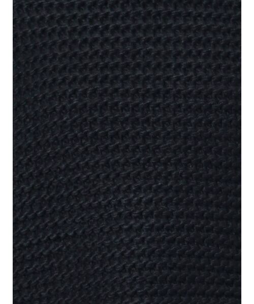 EVRIS（エヴリス）の「ショートガーターニットトップス（ニット/セーター・レディース・アイボリー/ブラック/ブルー・FREE）」の15枚目の写真