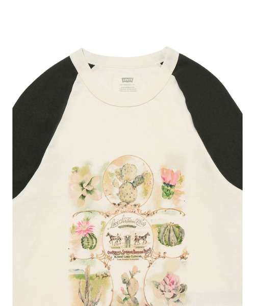 Levi's（リーバイス）の「Levi's/リーバイス ベースボールTシャツ ブラック CACTI EGRET（Tシャツ/カットソー・レディース・ホワイト・XS/S/M）」の4枚目の写真