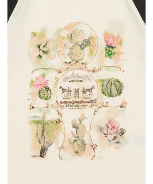 Levi's（リーバイス）の「Levi's/リーバイス ベースボールTシャツ ブラック CACTI EGRET（Tシャツ/カットソー・レディース・ホワイト・XS/S/M）」の7枚目の写真