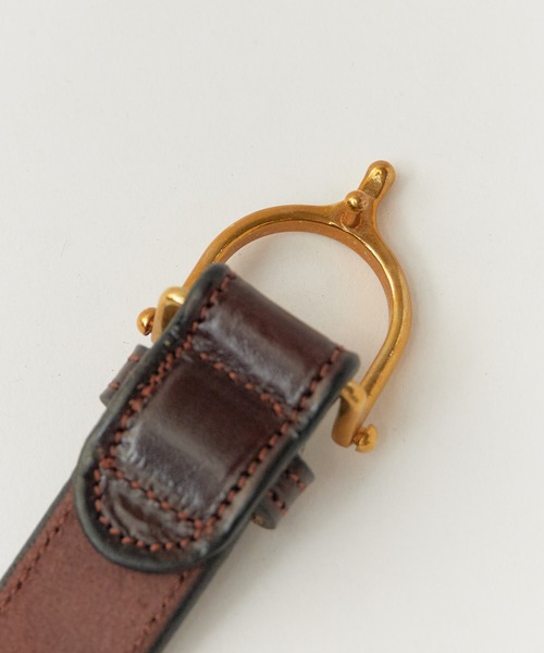 ドリカオン（1オス、ペルー） cornelian taurus by daisuke iwanaga - W-VISION OnlineStore