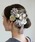 utatane�i�E�^�^�l�j�́u������ �e�~���E���� ���{���i�a�������j�v�b�O���[