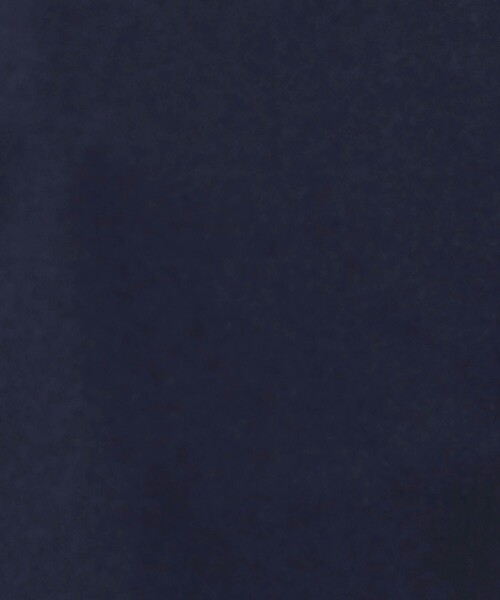 Grand PARK（グランドパーク）の「T-800 テックテーパードパンツ（その他パンツ・メンズ・ブラック/キャメル/ネイビー・M/L）」の4枚目の写真