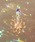 ammy.�i�G�C�~�[�h�b�g�j�́u�y ammy. / �G�C�~�[�h�b�g �z �I�[���� �t�����[ �T���L���b�`���[/������ �C���e���A�i�C���e���A�G�݁j�v�b�I�����W