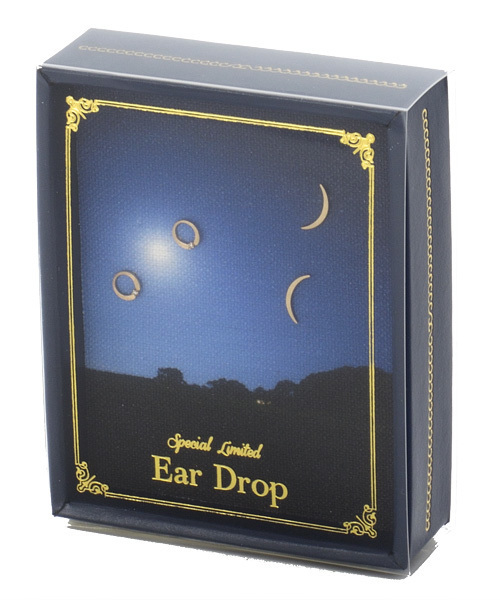 agete(アガット)の「K10ピアスセット(10133112060)(ピアス(両耳用)・レディース・ゴールド系その他・FREE)」の10枚目の写真