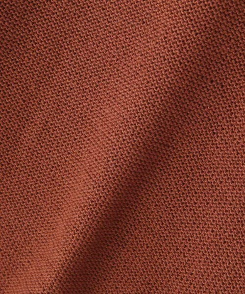 N.（N. Natural Beauty Basic）（エヌエヌナチュラルビューティーベーシック）の「◆スリーブレスＶネックニット（ニット/セーター・レディース・ブラック/ベージュ/テラコッタ・MEDIUM）」の18枚目の写真