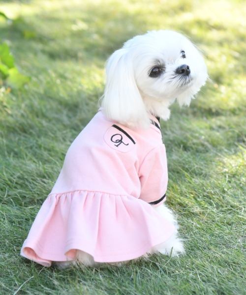 One Octave(ワンオクターヴ)の「One Octave/ポロシャツワンピ(ペットウェア・レディース・ピンク/ホワイト・M/S/XS/L/2L/2M/2XS)」の2枚目の写真