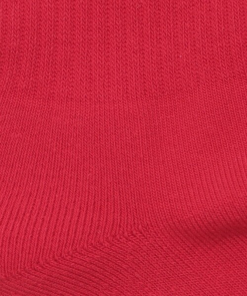 UNITED ARROWS & SONS(ユナイテッドアローズアンドサンズ)の「<HENTAI WORKS> 25 SOCKS/ソックス(ソックス/靴下・メンズ・ライトグレー/ホワイト/レッド/オリーブ・FREE)」の8枚目の写真