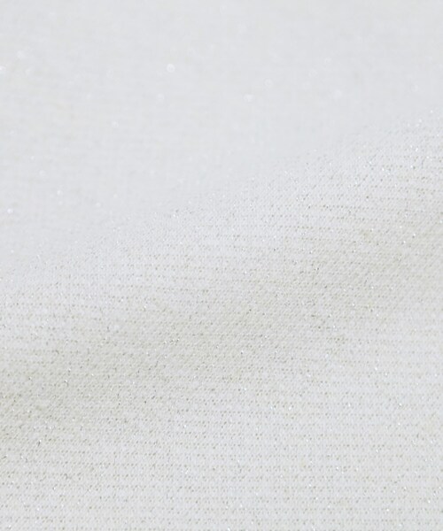 THE SHOP TK （ザ ショップ ティーケー ）の「裏毛ラメスカート【洗える】（スカート・レディース・アイボリー/グレー・12/13）」の6枚目の写真