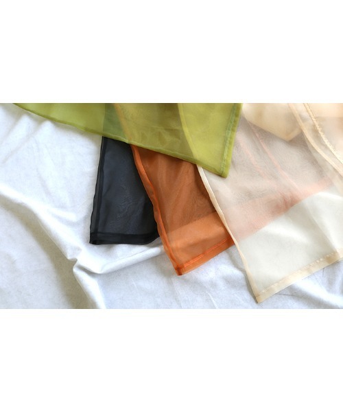 select MOCA（セレクトモカ）の「シアーラウンドスリーブワンピース　　センターラインシースルーワンピース　　シアーワンピース（ワンピース・レディース・ブラック/オレンジ/ライトグリーン/アイボリー・FREE）」の6枚目の写真