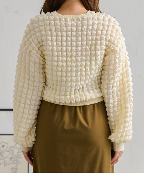 Ambre Neige（アンブルネージュ）の「ぽこぽこボリュームトップス／【WEB/EC限定商品】（Tシャツ/カットソー・レディース・アイボリー/ダークブラウン・FREE）」の15枚目の写真