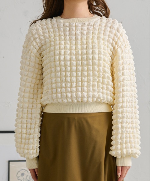 Ambre Neige（アンブルネージュ）の「ぽこぽこボリュームトップス／【WEB/EC限定商品】（Tシャツ/カットソー・レディース・アイボリー/ダークブラウン・FREE）」の13枚目の写真