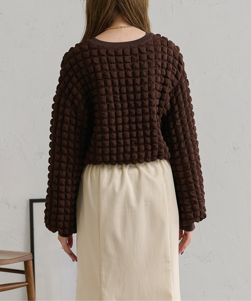 Ambre Neige（アンブルネージュ）の「ぽこぽこボリュームトップス／【WEB/EC限定商品】（Tシャツ/カットソー・レディース・アイボリー/ダークブラウン・FREE）」の18枚目の写真
