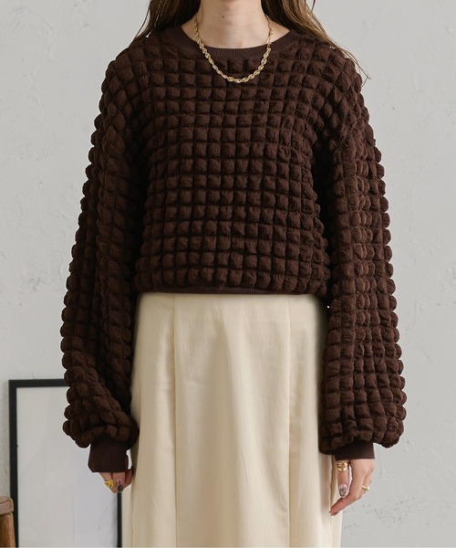 Ambre Neige（アンブルネージュ）の「ぽこぽこボリュームトップス／【WEB/EC限定商品】（Tシャツ/カットソー・レディース・アイボリー/ダークブラウン・FREE）」の16枚目の写真