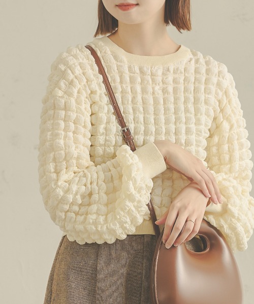Ambre Neige（アンブルネージュ）の「ぽこぽこボリュームトップス／【WEB/EC限定商品】（Tシャツ/カットソー・レディース・アイボリー/ダークブラウン・FREE）」の19枚目の写真